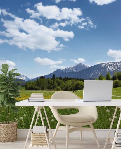 Meadow and Mountain View Mural