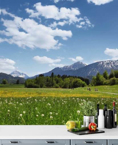 Wiese und Mountain View Fototapete Wiese und Mountain View Fototapete