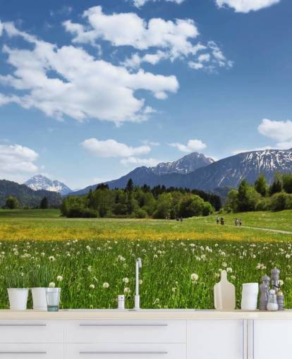 Wiese und Mountain View Fototapete Wiese und Mountain View Fototapete