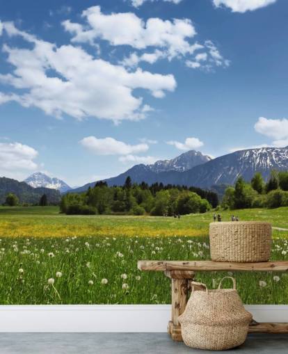 Meadow and Mountain View Mural