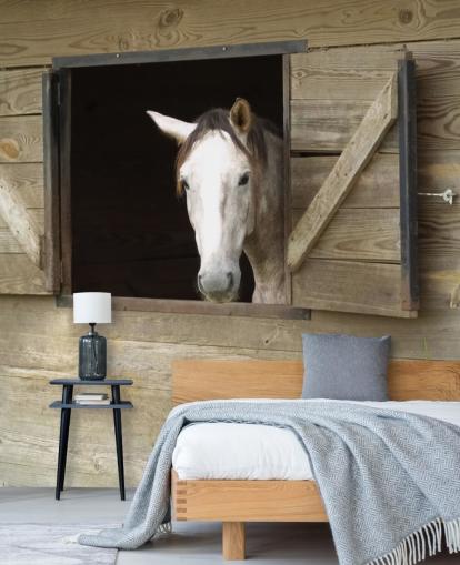 Horse in Stable Wallpaper