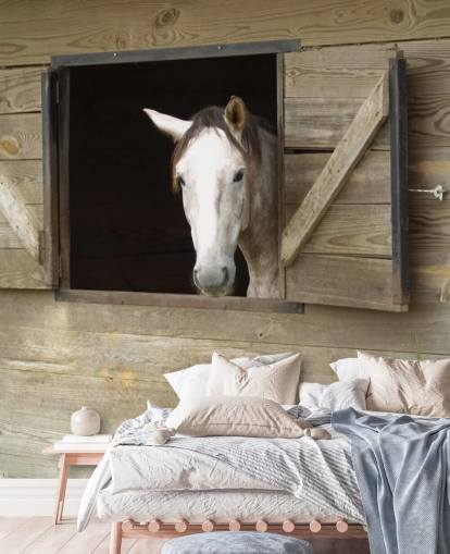 Horse in Stable Wallpaper