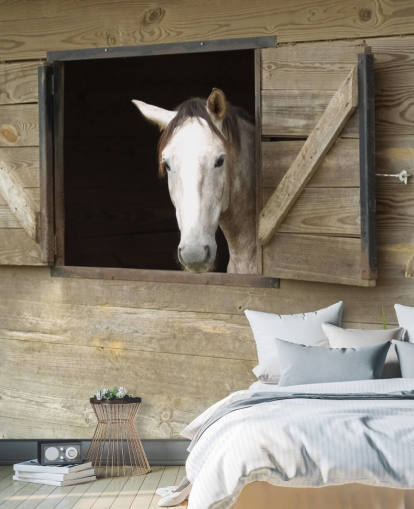 Horse in Stable Wallpaper