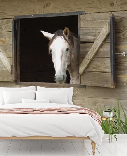 Cavalo no papel de parede estável Cavalo no papel de parede estável