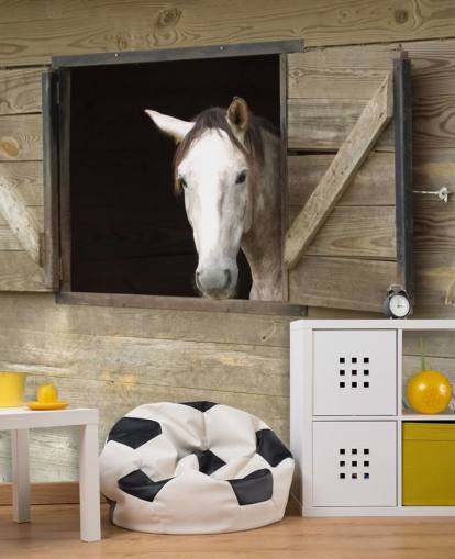 Pferd im Stall Tapete Pferd im Stall Tapete
