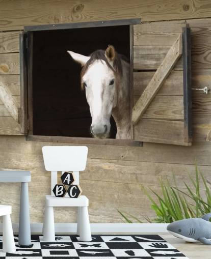 Paard in stalbehang