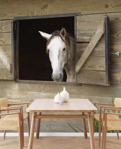 Papier Peint Cheval en Stable