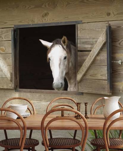 Paard in stalbehang