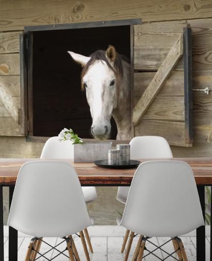 Horse in Stable Wallpaper