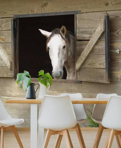Pferd im Stall Tapete Pferd im Stall Tapete