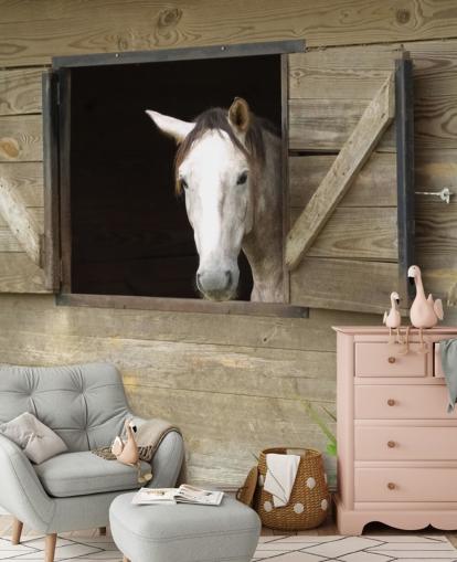 Cavalo no papel de parede estável