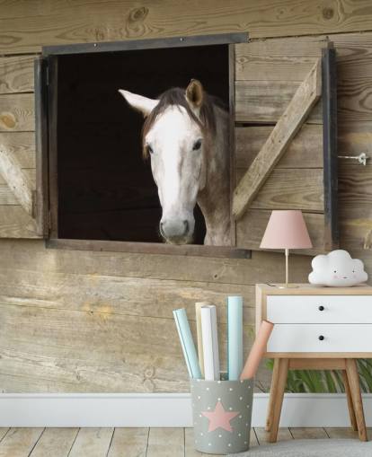 Horse in Stable Wallpaper