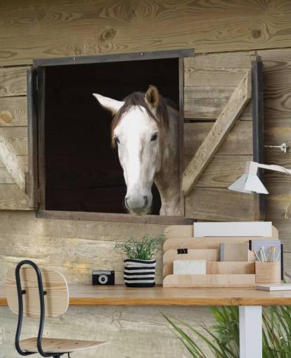 Papier Peint Cheval en Stable Papier Peint Cheval en Stable