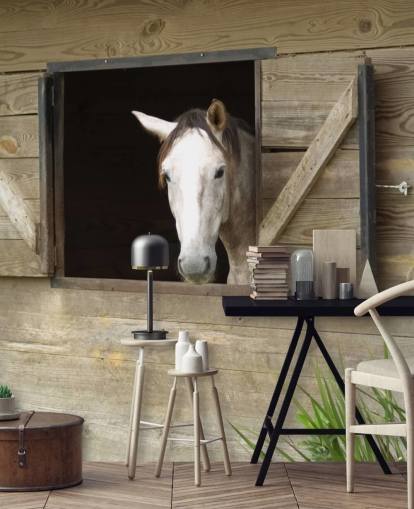 Papel pintado Caballo en establo