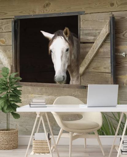 Horse in Stable Wallpaper