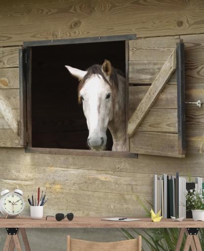 Horse in Stable Wallpaper