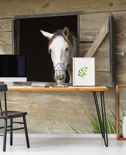 Horse in Stable Wallpaper Horse in Stable Wallpaper