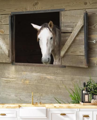 Horse in Stable Wallpaper