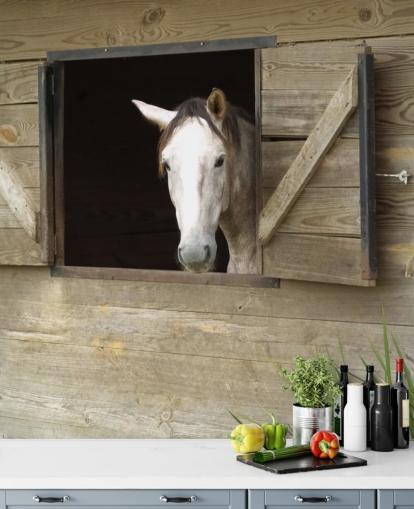 Paard in stalbehang