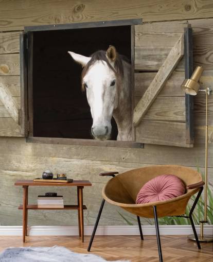 Cavalo no papel de parede estável