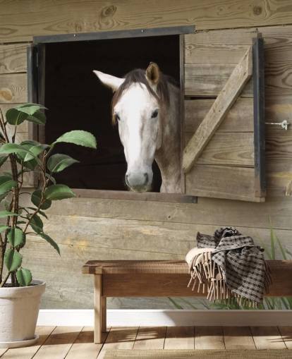Papel pintado Caballo en establo Papel pintado Caballo en establo