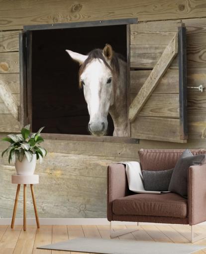 Horse in Stable Wallpaper