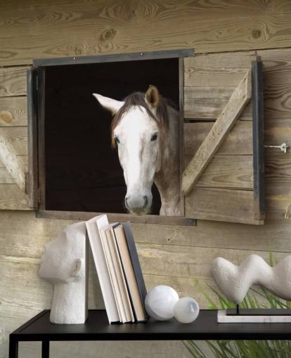 Papel pintado Caballo en establo