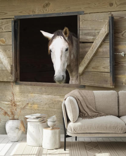 Horse in Stable Wallpaper