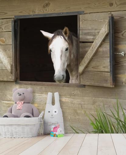 Horse in Stable Wallpaper