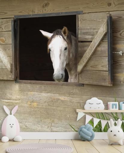 Horse in Stable Wallpaper Horse in Stable Wallpaper