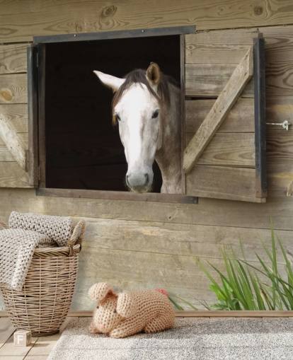 Horse in Stable Wallpaper Horse in Stable Wallpaper