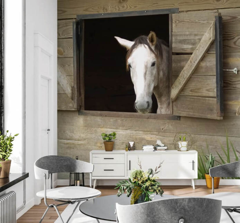 Horse Wallpaper & Wall Murals | Wallsauce UK