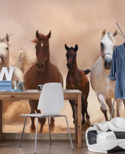 Brown and White Horses Herd Running Mural