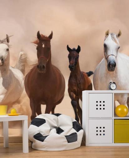 Brown and White Horses Herd Running Mural