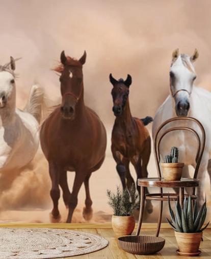 Brown and White Horses Herd Running Mural