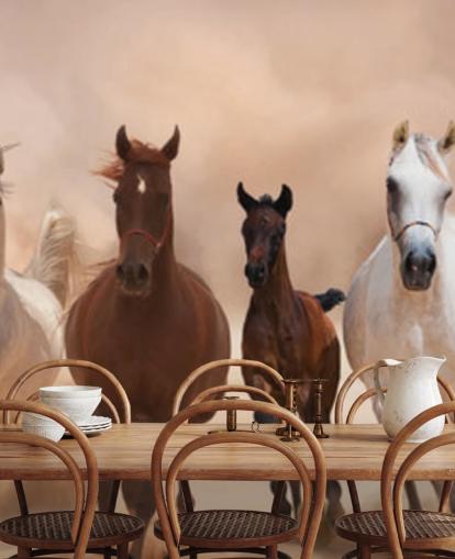 Brown and White Horses Herd Running Mural