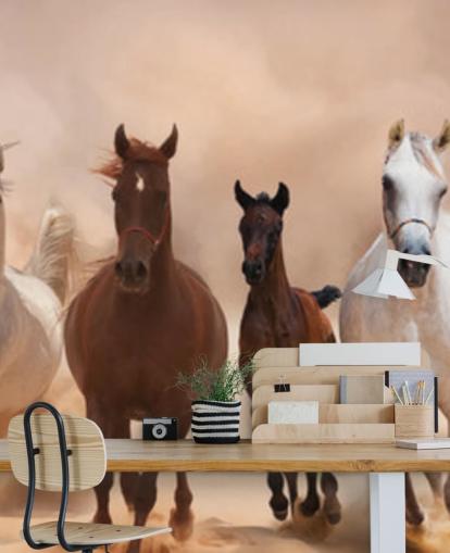 Brown and White Horses Herd Running Mural
