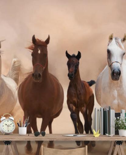 Brown and White Horses Herd Running Mural