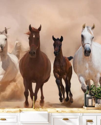 Brown and White Horses Herd Running Mural