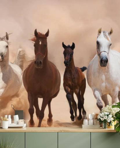Brown and White Horses Herd Running Mural