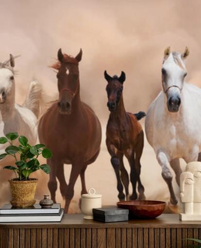 Brown and White Horses Herd Running Mural
