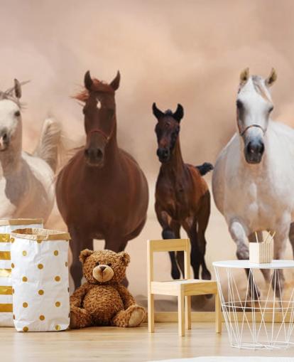 Brown and White Horses Herd Running Mural