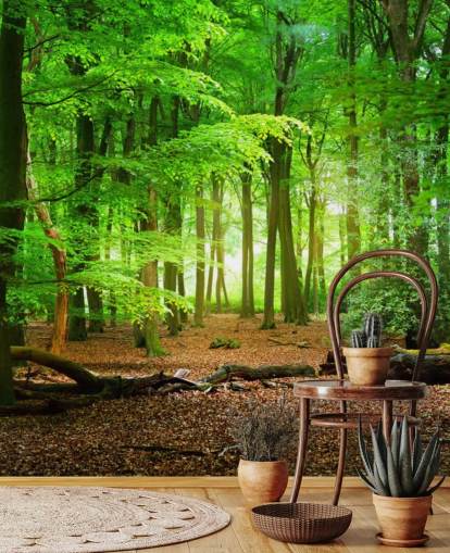 grön och brun anpassningsbar skogstapetväggmålning kallad Magical Forest för sovrum och badrum