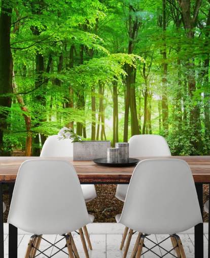 groene en bruine aanpasbare bosbehangmuurschildering genaamd Magical Forest voor slaapkamers en badkamers groene en bruine aanpasbare bosbehangmuurschildering genaamd Magical Forest voor slaapkamers en badkamers