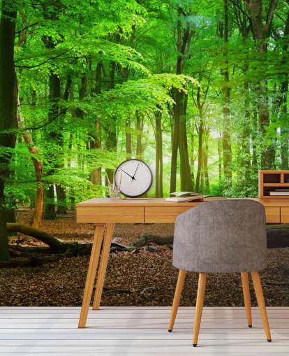 green and brown customisable forest wallpaper mural called Magical Forest for bedrooms and bathrooms