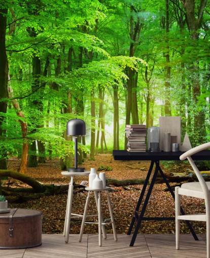 carta da parati murale personalizzabile verde e marrone chiamata Magical Forest per camere da letto e bagni