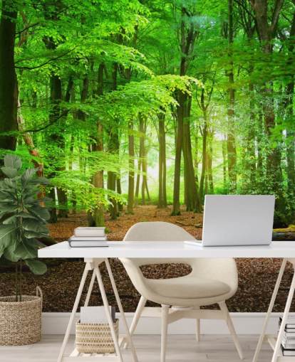 carta da parati murale personalizzabile verde e marrone chiamata Magical Forest per camere da letto e bagni