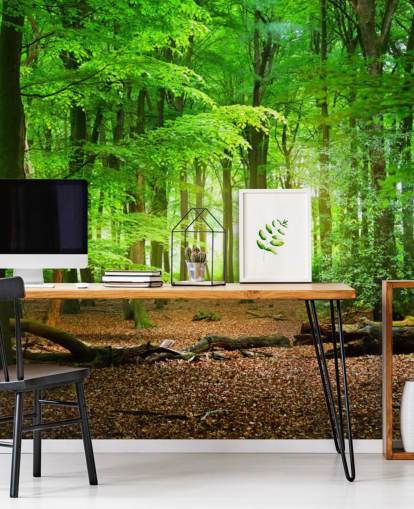 mural de papel pintado de bosque personalizable en verde y marrón llamado Bosque Mágico para dormitorios y baños