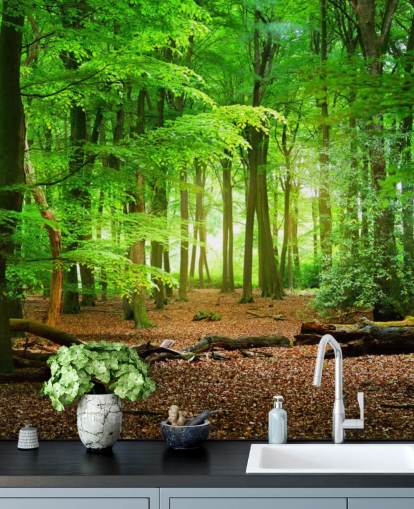 grön och brun anpassningsbar skogstapetväggmålning kallad Magical Forest för sovrum och badrum