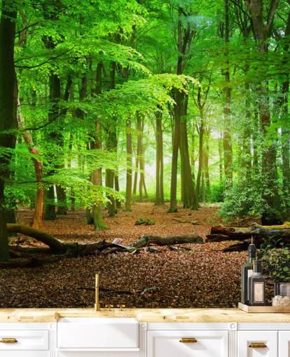 carta da parati murale personalizzabile verde e marrone chiamata Magical Forest per camere da letto e bagni